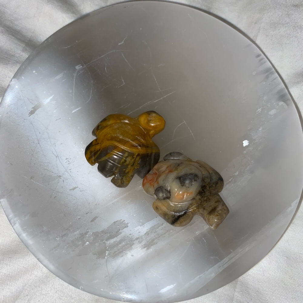 Mini turtles 🐢🐢 crystals